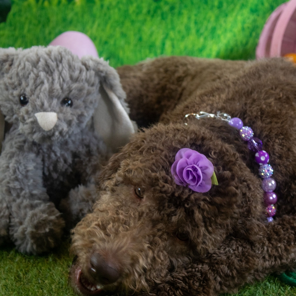 Purple Dog Beaded Necklace